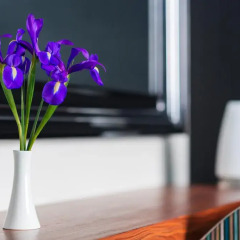 Гостиница Radisson Blu Челябинск 5* Стандартный номер с различными типами кроватей фото 4