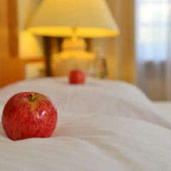Отель Domicil Berlin By Golden Tulip 4* Стандартный номер фото 10