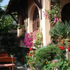 Отель Guest House Belvedere Банско фото 2