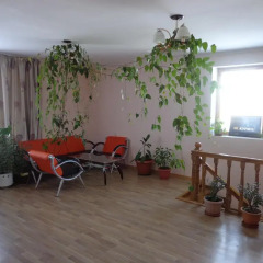 Отель Guest House Taypin Кыргызстан, Каракол - отзывы, цены и фото номеров - забронировать отель Guest House Taypin онлайн