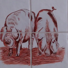 Отель Stal Zwartschaap интерьер отеля