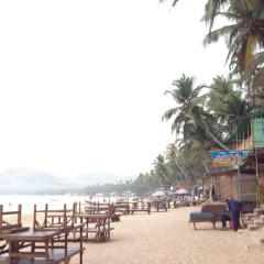 Отель Palolem Beach Resort Индия, Гоа - 1 отзыв об отеле, цены и фото номеров - забронировать отель Palolem Beach Resort онлайн пляж