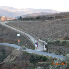 Отель Quinta dos Espinheiros фото 9
