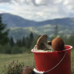 Гостиница Усадьба Рокса фото 2