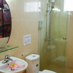 Hanoi Little Center Hotel 3* Номер Делюкс с двуспальной кроватью