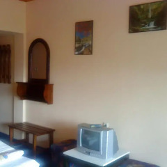 Park Hotel Rodopi 2* Стандартный номер с 2 отдельными кроватями фото 4