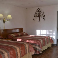 Las Palmas Hotel 3* Стандартный номер с различными типами кроватей фото 7