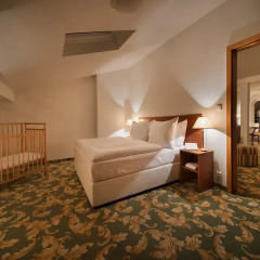Отель EA Hotel Elefant Чехия, Карловы Вары - отзывы, цены и фото номеров - забронировать отель EA Hotel Elefant онлайн комната для гостей фото 5