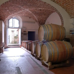 Отель Fontemorsi Agriturismo Монтескудаио интерьер отеля