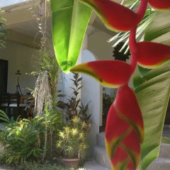 Отель Bihai Garden Филиппины, остров Боракай - отзывы, цены и фото номеров - забронировать отель Bihai Garden онлайн фото 7