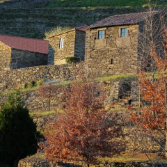 Отель Cardenha do Douro Мезан-Фриу