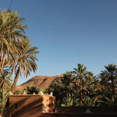 Отель Riad Dar Zaouia Марокко, Загора - отзывы, цены и фото номеров - забронировать отель Riad Dar Zaouia онлайн пляж