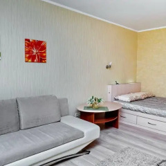 Гостиница Apartament Volga River в Саратове отзывы, цены и фото номеров - забронировать гостиницу Apartament Volga River онлайн Саратов комната для гостей фото 4