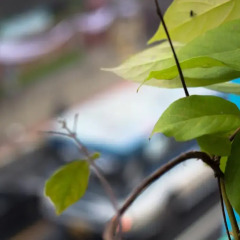 BTS Khaosan Hostel Бангкок фото 11