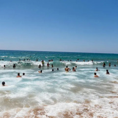 Отель Olive Grove Resort 3* Студия с различными типами кроватей фото 11