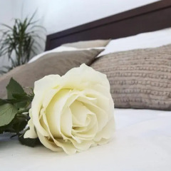 Отель Villa Margarita 2 удобства в номере фото 2