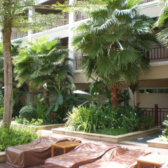 Отель The Heritage Pattaya Beach Resort 4* Номер Делюкс с различными типами кроватей