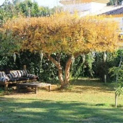Отель Hostal Los Geranios Del Pinar Торремолинос фото 17