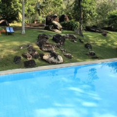 Отель Glenross Plantation Villa 4* Люкс с различными типами кроватей фото 6