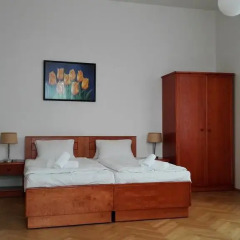 Hotel Jana / Pension Domov Mladeze Люкс с различными типами кроватей фото 5