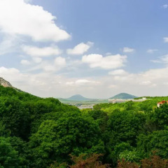Гостиница Holiday Home Zheleznovodsk в Железноводске отзывы, цены и фото номеров - забронировать гостиницу Holiday Home Zheleznovodsk онлайн Железноводск фото 2