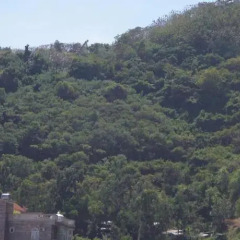 Отель Ha Thanh Hotel Вьетнам, Вунгтау - отзывы, цены и фото номеров - забронировать отель Ha Thanh Hotel онлайн