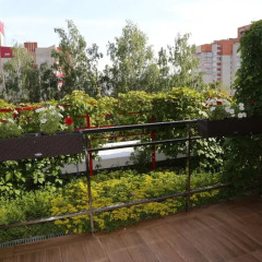 Альфа Отель балкон