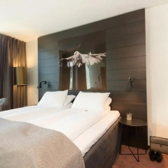 Отель Scandic Ørnen 4* Стандартный номер