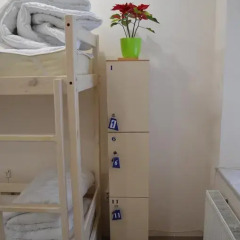 Гостиница Antihostel Forrest Кровать в общем номере фото 12