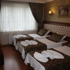 Big Apple Hostel & Hotel Номер Делюкс с различными типами кроватей фото 9
