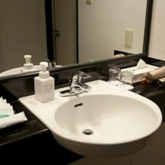 Toyama Excel Hotel Tokyu 3* Стандартный номер фото 25