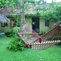Отель Kahuna Hotel Шри-Ланка, Галле - 1 отзыв об отеле, цены и фото номеров - забронировать отель Kahuna Hotel онлайн фото 13