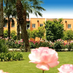 Adora Golf Resort Hotel 5* Стандартный номер с двуспальной кроватью фото 5