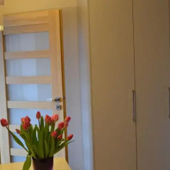 Отель Apartament Orchidea удобства в номере фото 2
