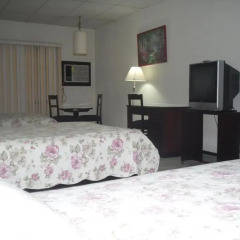 Hotel Excelsior 3* Стандартный номер с различными типами кроватей фото 2