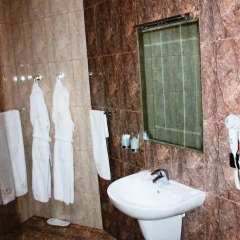 Отель Avan Plaza 3* Номер Делюкс фото 16