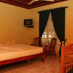 Wila Safari Hotel 3* Номер Делюкс с различными типами кроватей фото 4