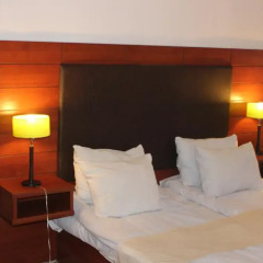 Diligence Hotel 3* Стандартный номер с различными типами кроватей фото 9