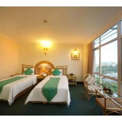 Green Hotel 4* Номер Делюкс с 2 отдельными кроватями фото 3