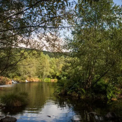 Отель Quinta Da Rabaçosa - Turismo Rural Кастро-Дайре приотельная территория