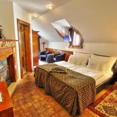 Hotel U Páva 4* Номер Делюкс с различными типами кроватей фото 6