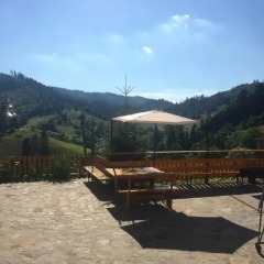 Гостиница Privatna Sadiba Chalet Украина, Волосянка - отзывы, цены и фото номеров - забронировать гостиницу Privatna Sadiba Chalet онлайн фото 8