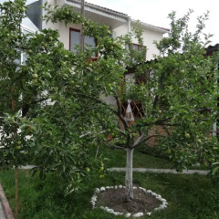 Отель Хостел Тундук Кыргызстан, Бишкек - отзывы, цены и фото номеров - забронировать отель Хостел Тундук онлайн фото 2