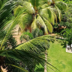 Отель Rajarata Lodge фото 18