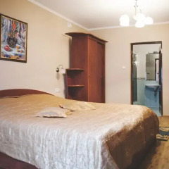 VIP Hotel Стандартный номер двуспальная кровать фото 4