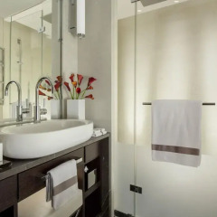 Отель Royal Savoy Lausanne 5* Номер Делюкс с различными типами кроватей