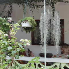Kind & Love Hostel фото 3