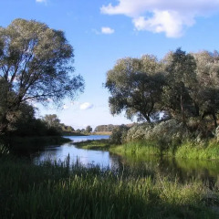 Санаторий Солотча фото 3
