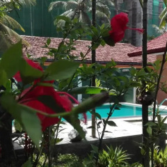 Отель Aura Beach Villa Шри-Ланка, Берувела - отзывы, цены и фото номеров - забронировать отель Aura Beach Villa онлайн фото 2