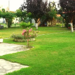 Отель Evangelia's Family House Греция, Ситония - отзывы, цены и фото номеров - забронировать отель Evangelia's Family House онлайн фото 3